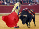 Spanish bullfighter Francisco Rivera Ordonez 'Paquirri' is gored