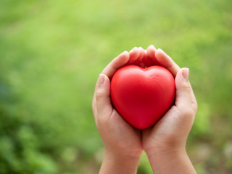 Two hands of child holding a red of rubber heart
