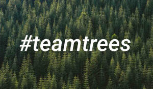 TeamTrees-jason-leem-50bzI1F6urA-unsplash
