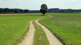 field-away-nature-meadow