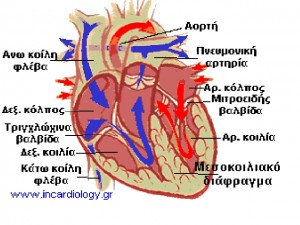 ασθενειεσ και ιοι εικόνα8