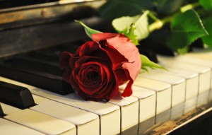 503156__a-lonely-rose-a-silent-piano_p