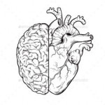 brainheart
