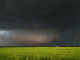 El Reno tornado 2013 (Ρεκόρ: 4,68 χλμ.)