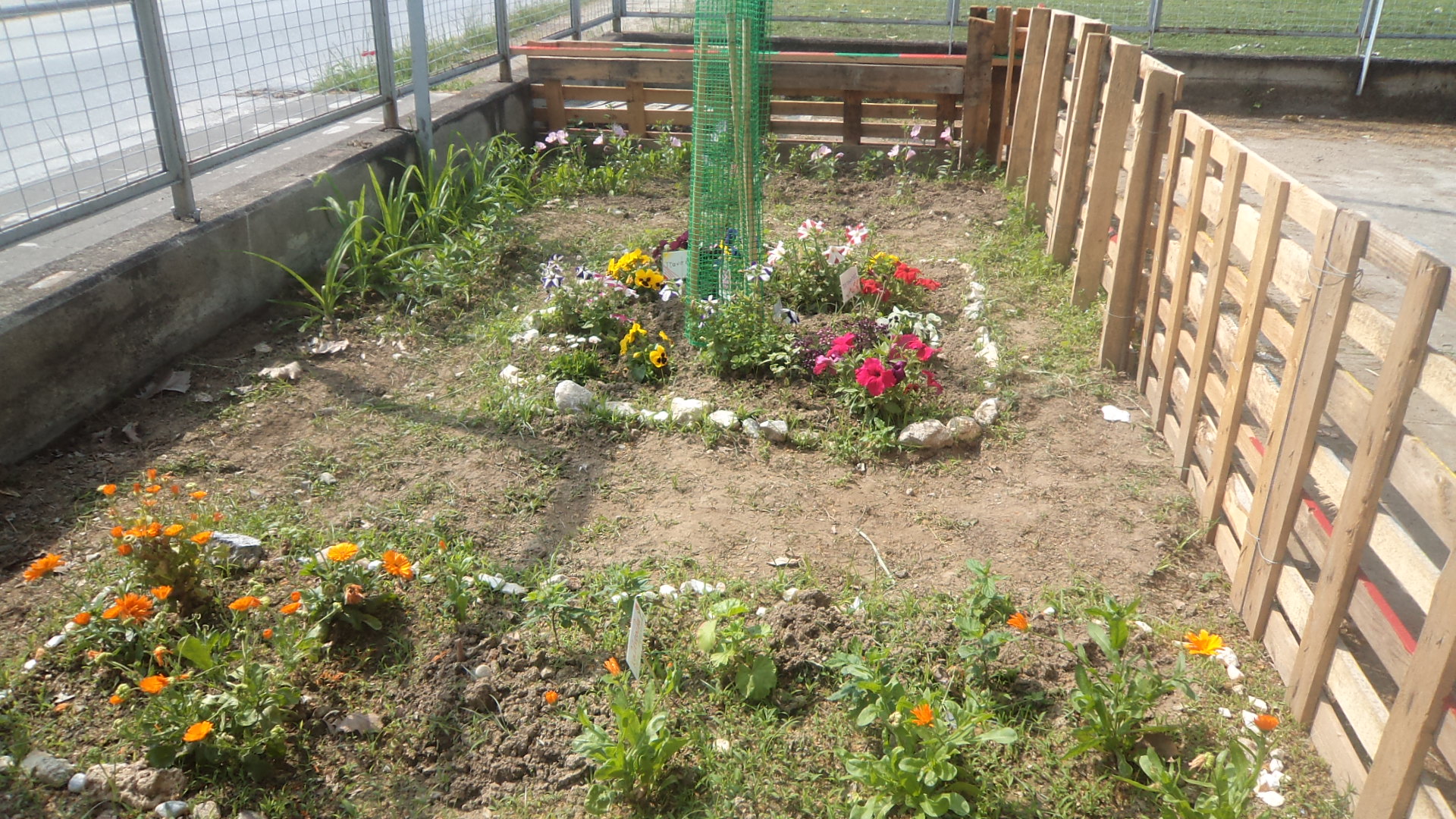 DSC04042