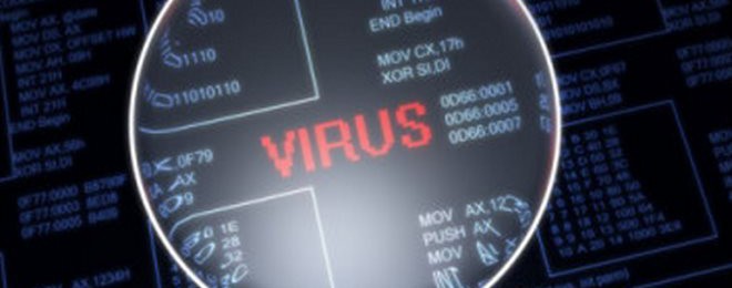 VIRUS PIC