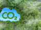 Concept depicting the issue of carbon dioxide emissions and its