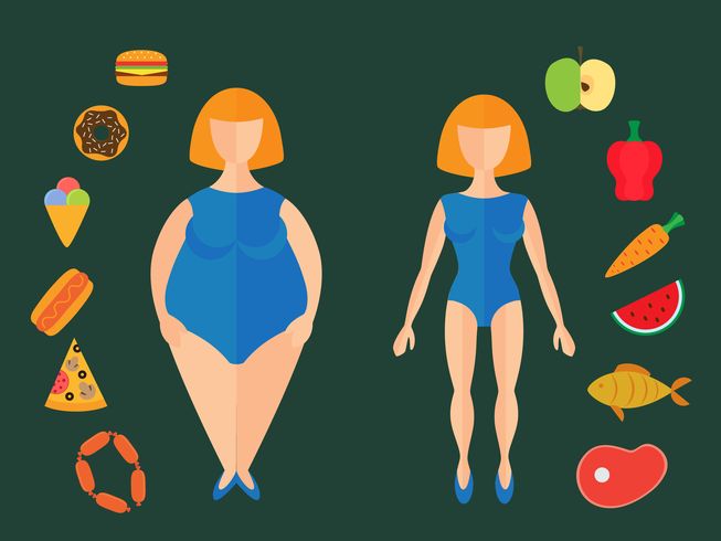 skinny-vs-fat-microbes.jpg.653x0_q80_crop-smart