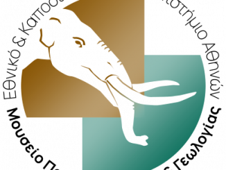 paleo-museum-logo (1)