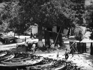 Μόλυβος 1960