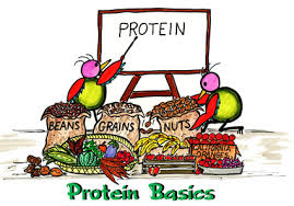 proteini1