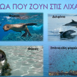 λιχαδονήσια12