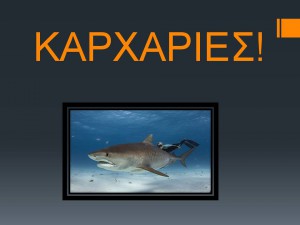 Διαφάνεια1