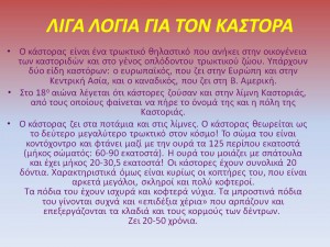 Διαφάνεια2