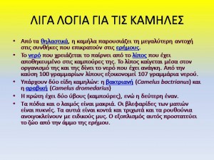 Διαφάνεια2