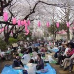 hanami 1