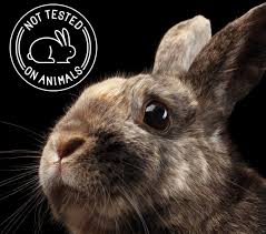 Animal testing. How ethical is it?