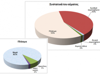 Εικόνα1