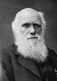 Charles_Darwin_portrait