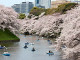 Chidorigafuchi_(3451082281)