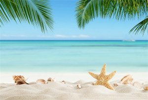 Laeacco-Tropical-Sea-Beach-Starfish-Shell-Coral-Sand-Palm-Tree-Holiday-Scenic-Photo-Background-Photography-Backdrop