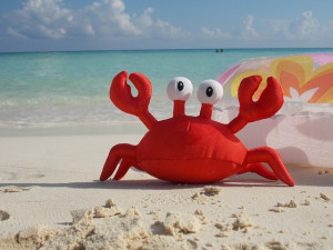 crab-1786561_640