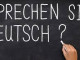 Sprechen Sie Deutsch?