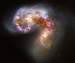 galaxias1