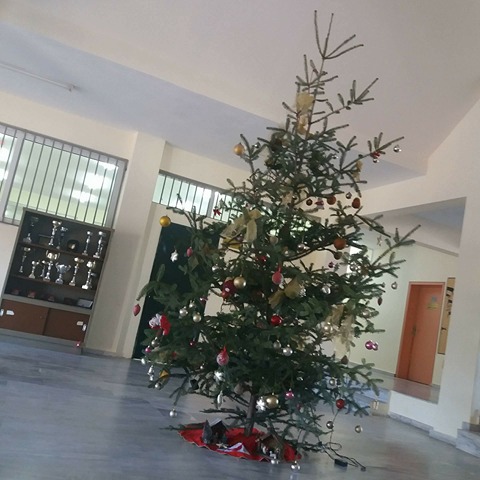 Το δέντρο στην κεντρική σάλα του σχολείου μας