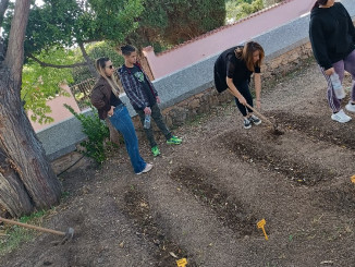 Λαχανόκηπος Οκτώβρης 23 (4)