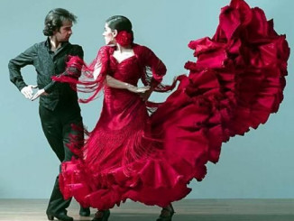 925_8239_regular_flamenco