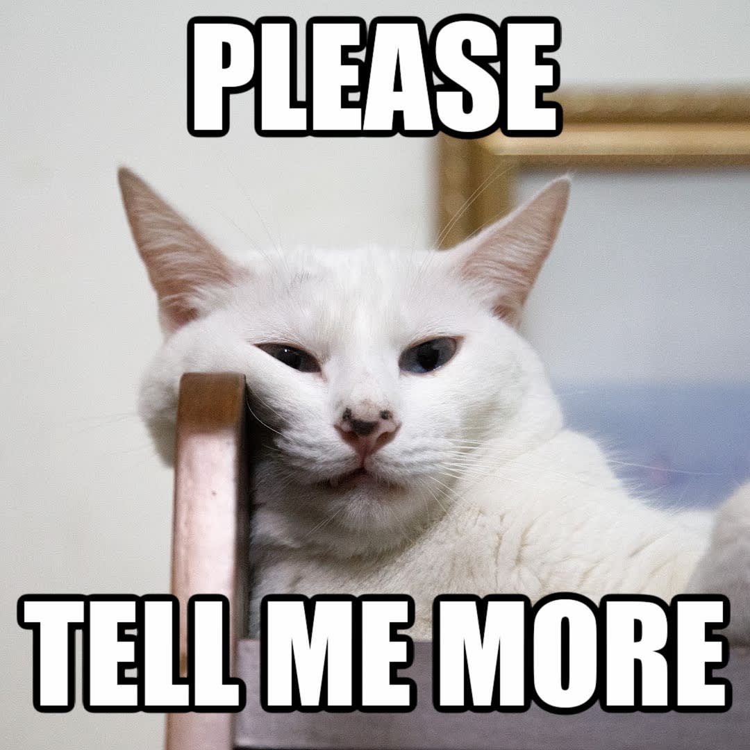Tell_Me_More__Meme_Example