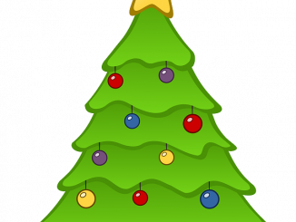 christmas-tree-g266b5b125_640