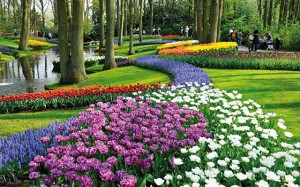 κήποι Keukenhof Gardens