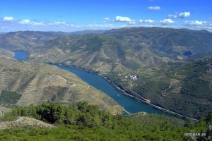 Douro Valley   Ribera del duero wine region