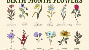 birth-month-flowers-2400-v2