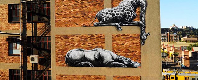 Αφρικανικά ζώα κοιμούνται στον τοίχο κτηρίου στο Γιοχάνεσμπουργκ