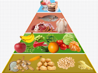 mtpc_d02_food-pyramid-own
