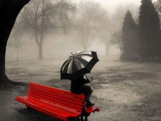 red bench rainy