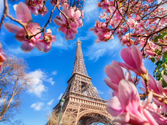 printemps-paris.jpg