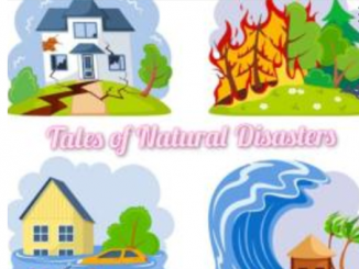 Tales of Natural Disasters