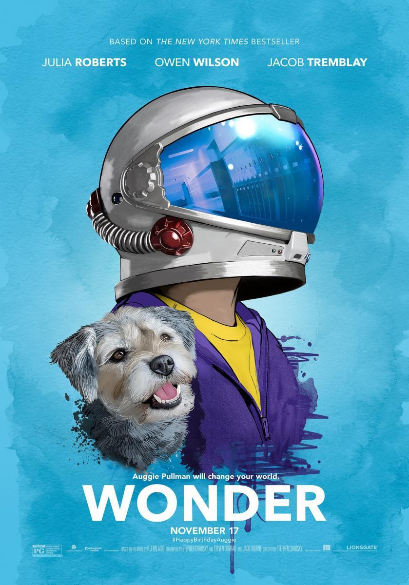 wonder-294892482-large