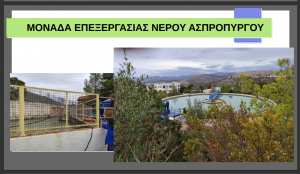 ΗΜΕΡΙΔΑ 8