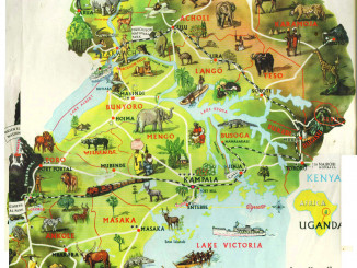 detailed_travel_map_of_uganda
