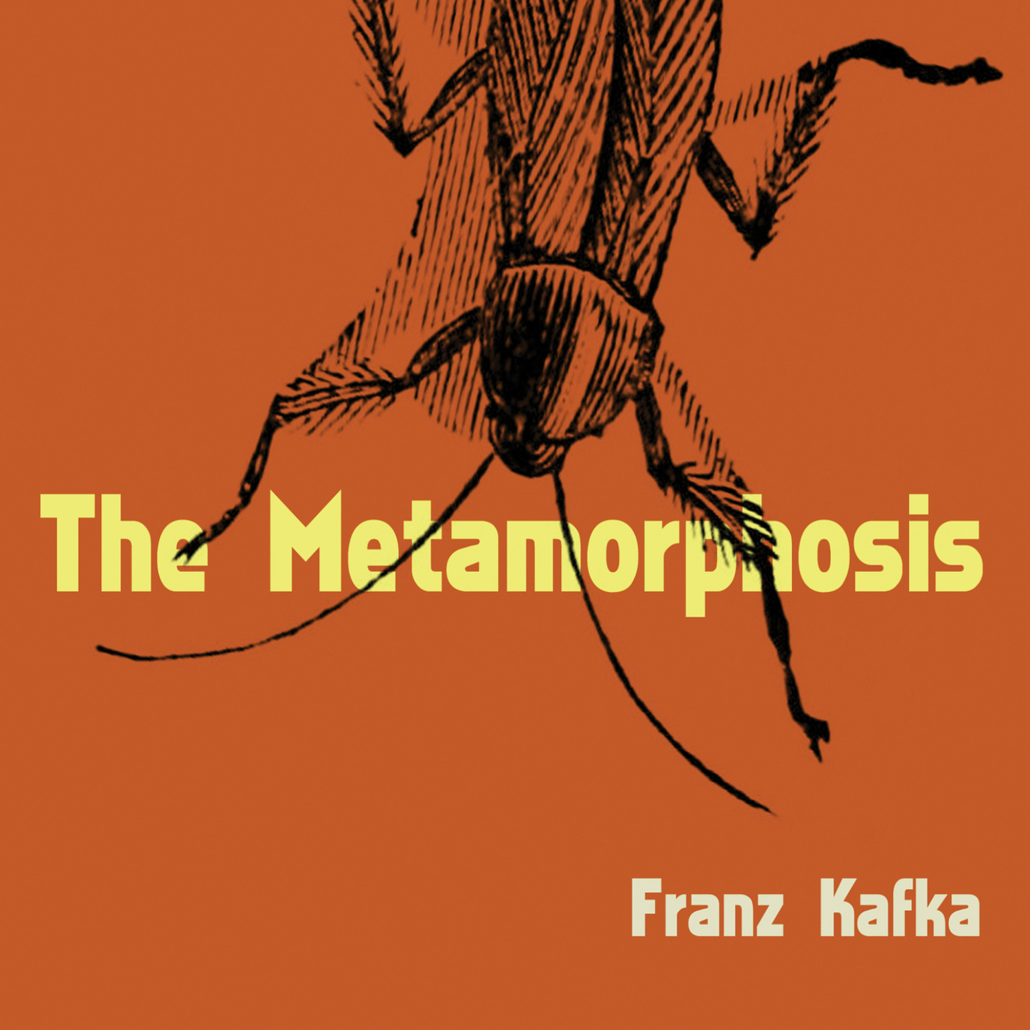 67561795-franz-kafka-the-metamorphosis-unabridged-67561795