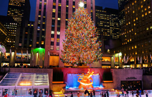 tree_newyork