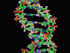 DNA_orbit_animated