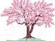cherry-blossom-7081566_1280