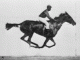 Muybridge_race_horse_animated