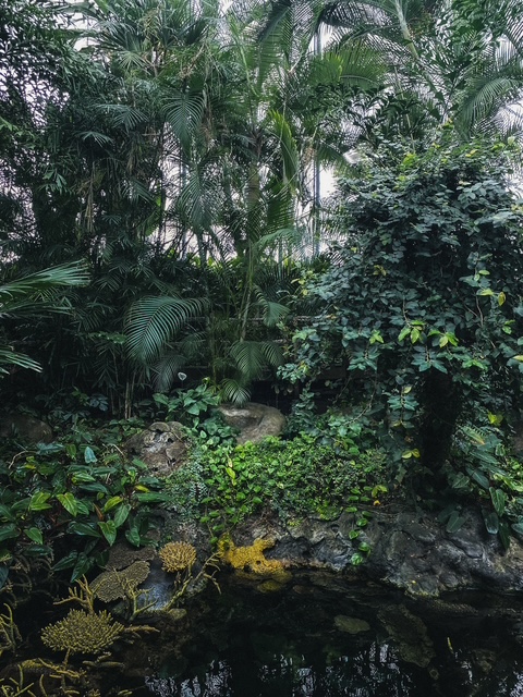 image4 (004)